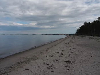 Halshuisene + Enebaerodde Beach (Denemarken)